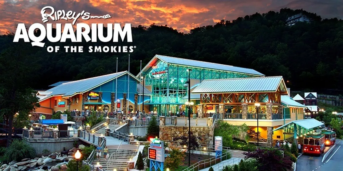 This image features the iconic exterior of Ripley’s Aquarium of the Smokies, a popular family attraction in Gatlinburg. The building is surrounded by water features and landscaped walkways, exuding a sense of excitement and adventure that appeals to families exploring the area.