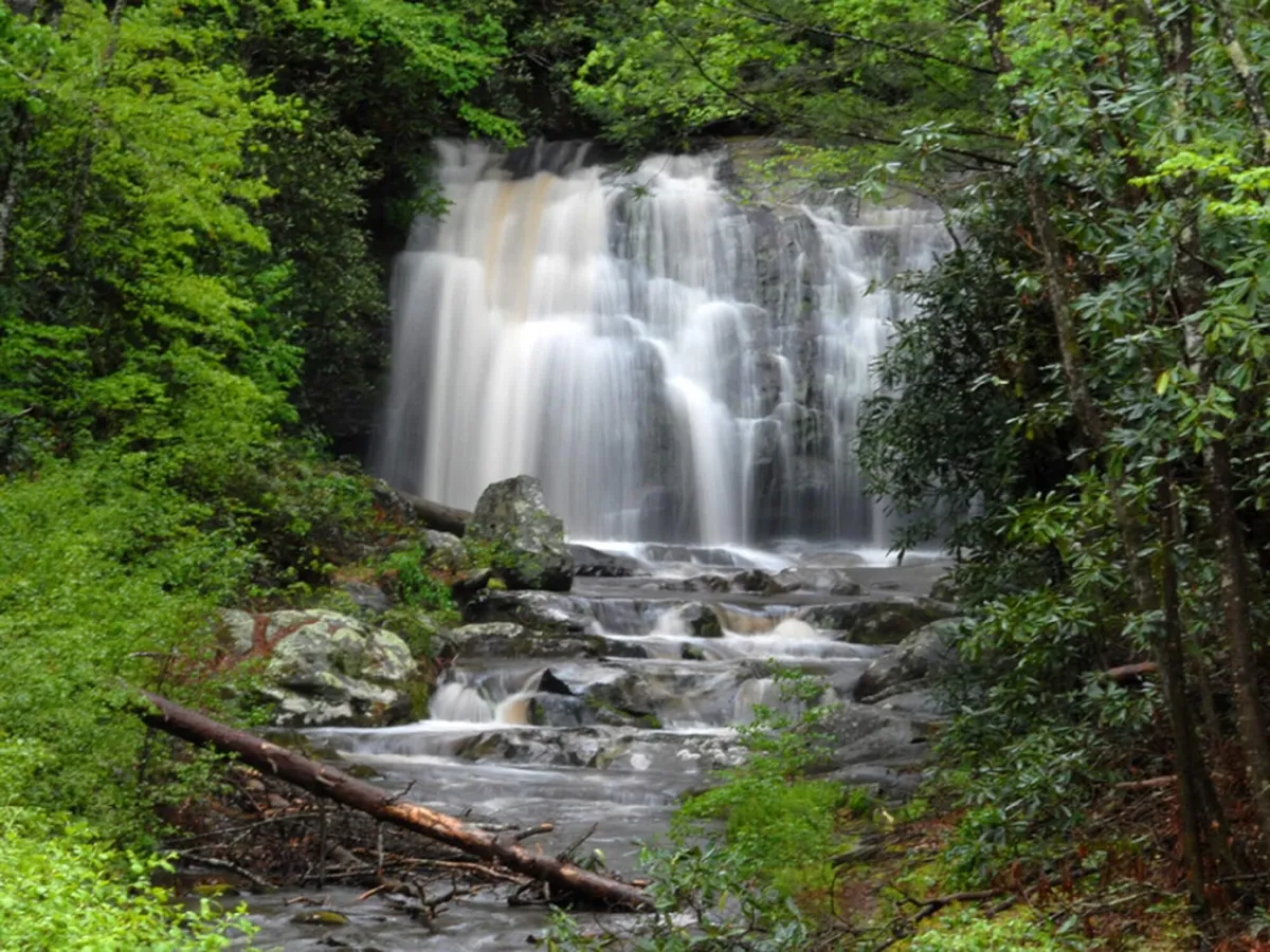 A tranquil scene featuring a stunning waterfall cascading over rock formations, surrounded by lush greenery. The area is inviting for hikers and nature photographers, offering a peaceful retreat and opportunities to witness the power and beauty of local waterfalls up close.