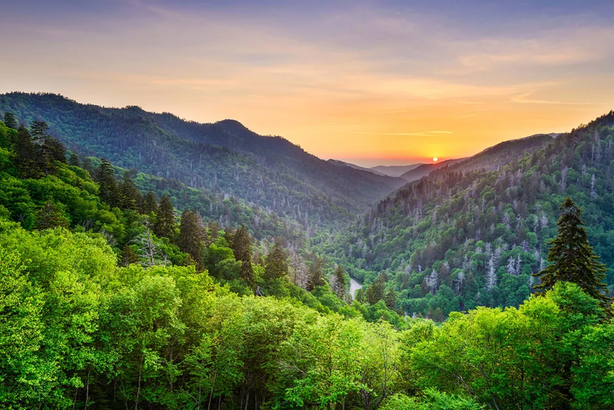 A majestic mountain landscape with rolling ranges stretching into the distance, kissed by sunset hues. A river winds gracefully through the valley below, bordered by lush greenery, evoking a sense of serenity and wilderness. The atmosphere is peaceful and untouched, perfect for hiking, wildlife watching, and soaking in panoramic views.